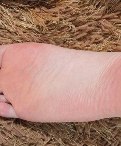 ����˿��ͼ�� ��10�� 115P