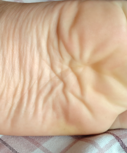 ѧ������4kչʾ3v+10p